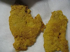 Cajun Fish
