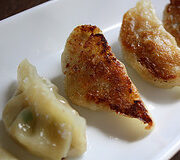 Crispy pot stickers with browned edges on a white plate