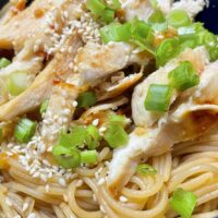 Close up, overhead view of sesame noodles with chicken.