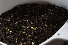 crushed Oreos and peanuts 