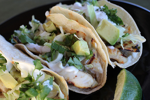 Grilled Fish Tacos Recipe - BlogChef