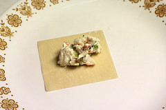 Cream cheese wontons with crab filling shown in step by step preparation