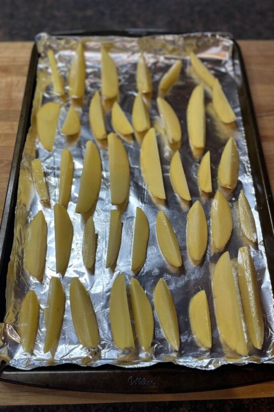 Red Robin Garlic Parmesan Fries Recipe aka Absurd Fries Cooking and