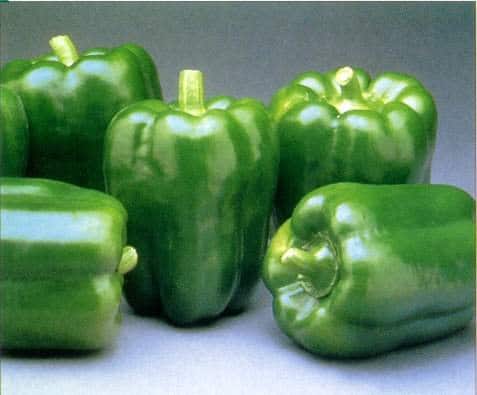 Bell Pepper