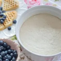 Greek Yogurt