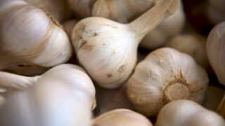 Substitute Garlic Powder for Minced Garlic