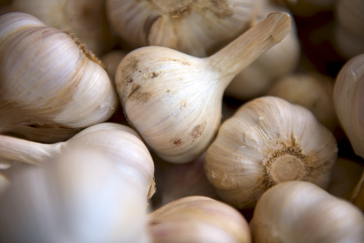 Substitute Garlic Powder for Minced Garlic - BlogChef