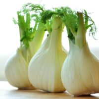 Substitute for Fennel Bulbs