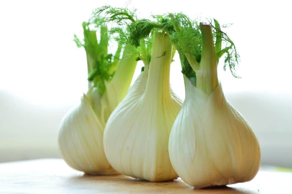Substitute for Fennel Bulbs