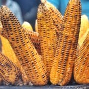 How Long to Cook Corn on the Grill