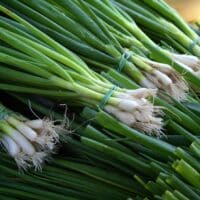 Substitute for Green Onions