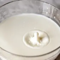 Can You Substitute for Milk for Heavy Cream