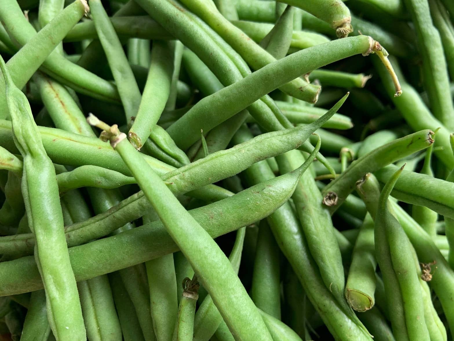 How to Cook Fresh Green Beans Southern Style