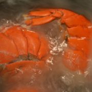 Boiled Lobster Tails
