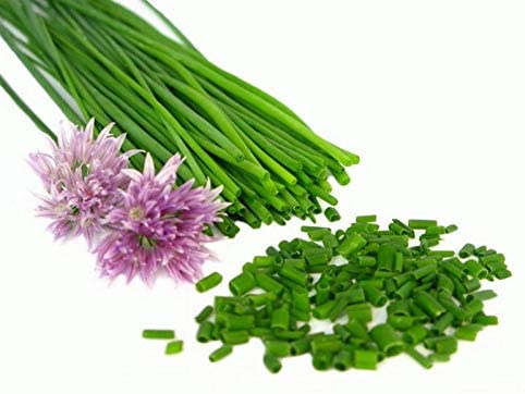 Seeds Chives Onion (Garlic Scapes) Vegetable for Planting Non GMO