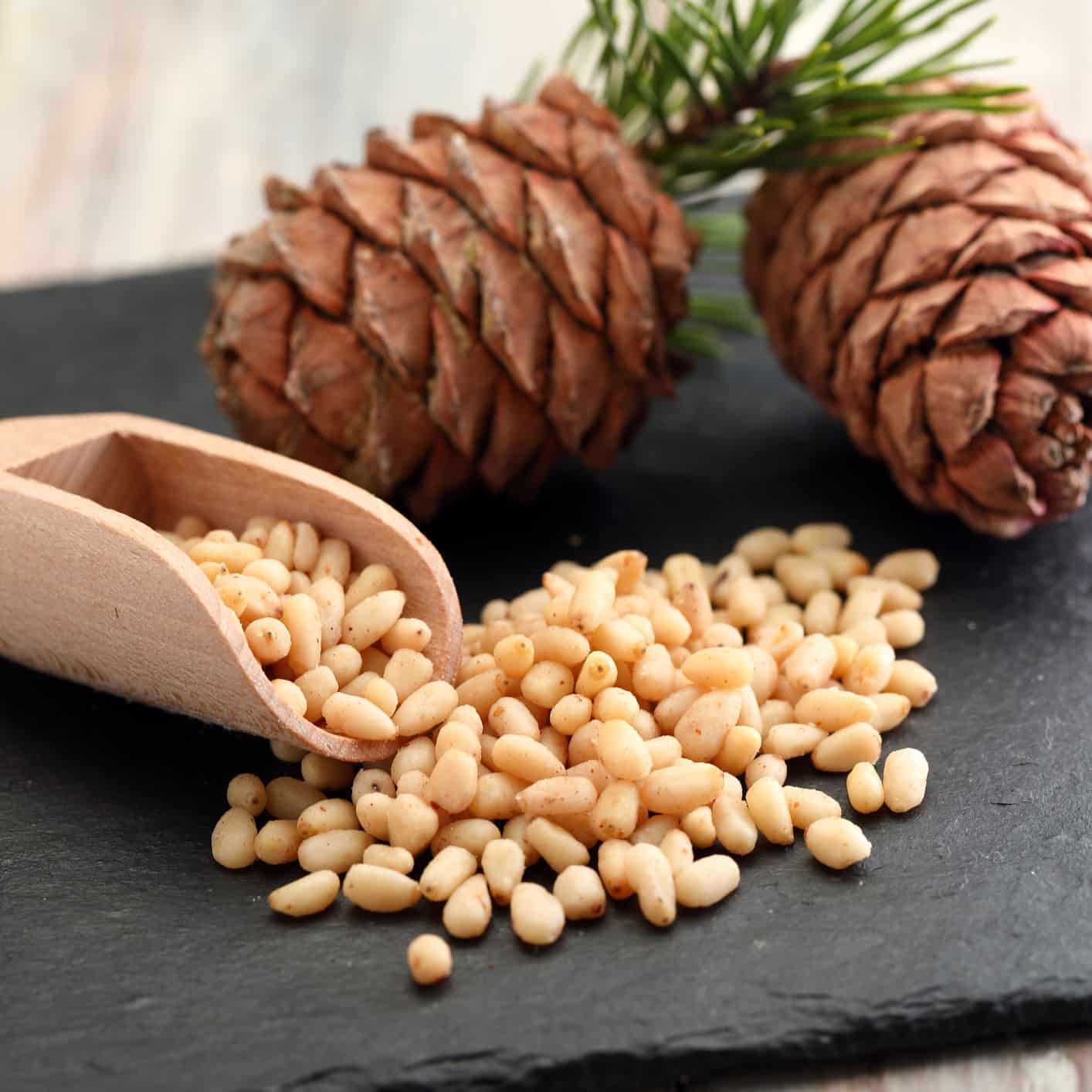 substitute-for-pine-nuts-cooking-and-recipes-before-it-s-news