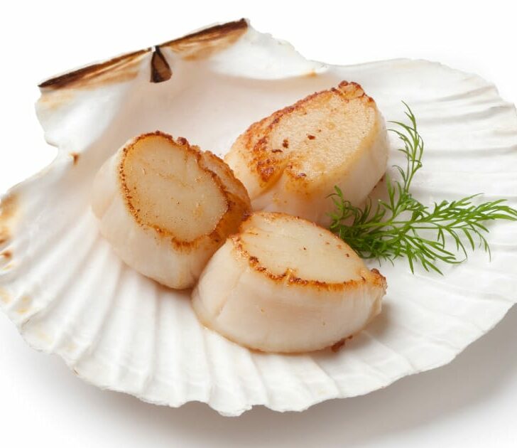 Seared scallops on dish-shaped serving tray.