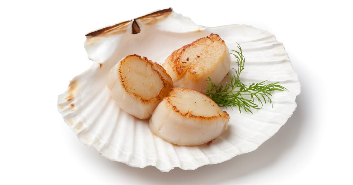 Seared scallops on dish-shaped serving tray.