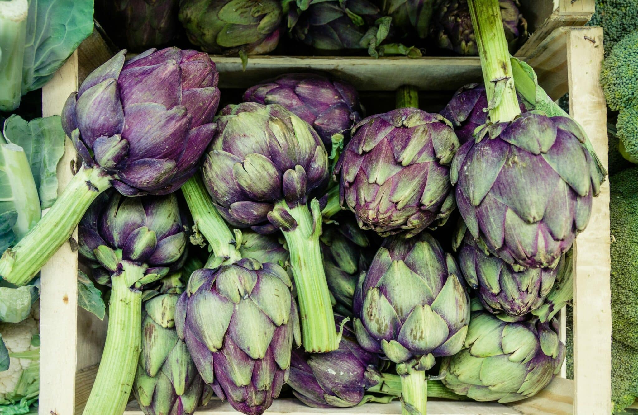 How to Cook Artichoke in the Microwave