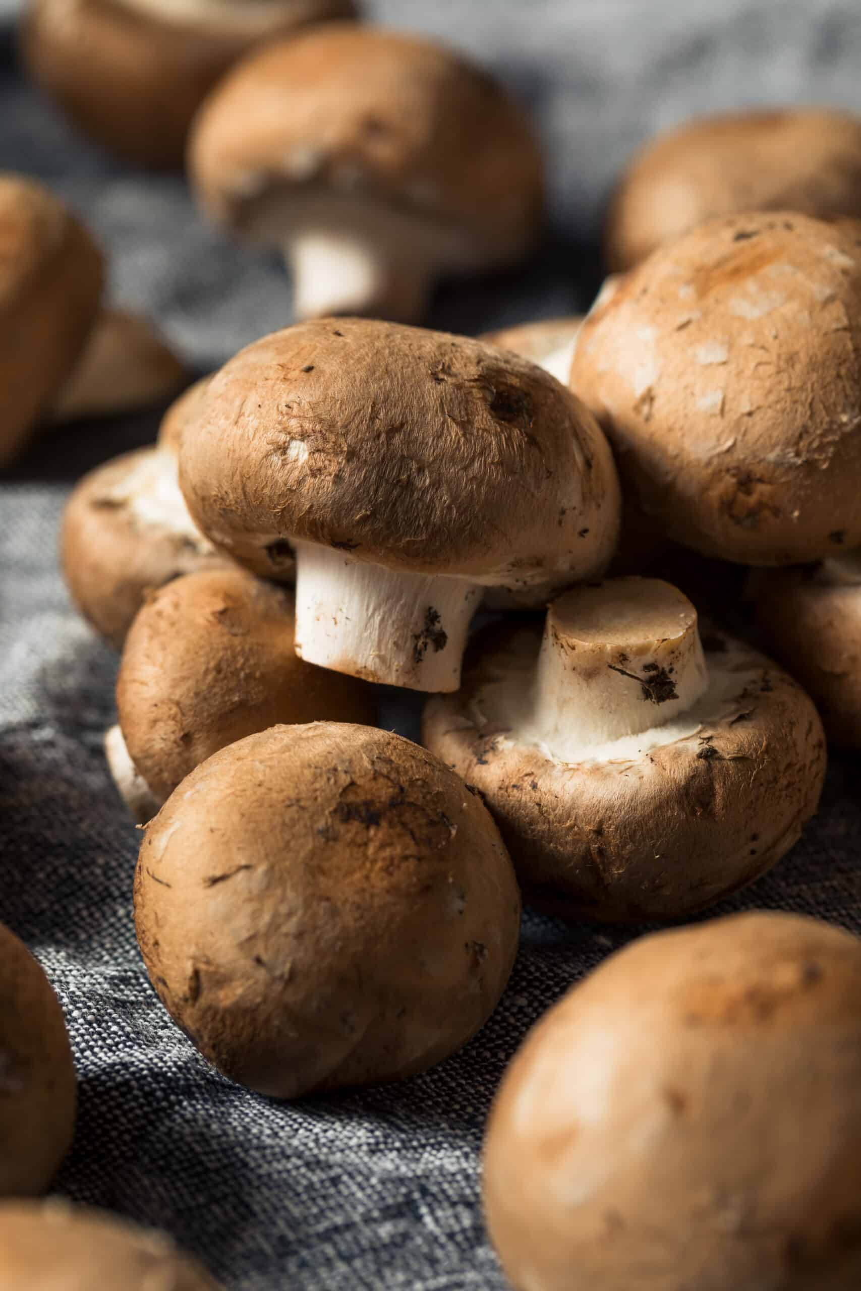 How to Cook Baby Bella Mushrooms