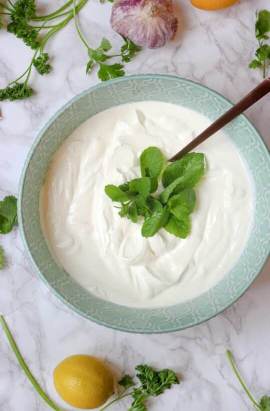 Can I Substitute Greek Yogurt For Sour Cream