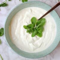 Can I Substitute Greek Yogurt for Sour Cream