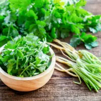 Fresh Parsley Substitute (3)