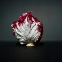 Radicchio Substitute