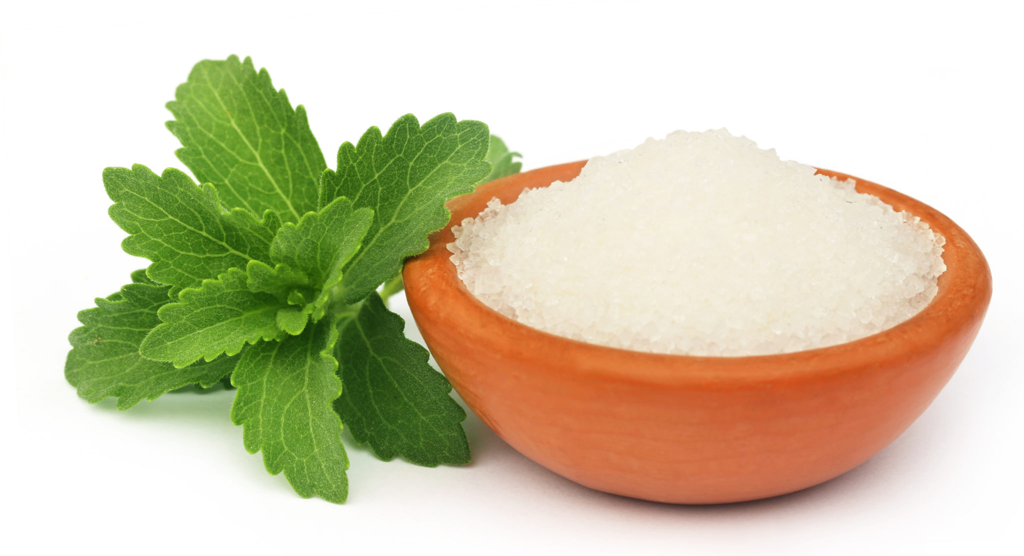 Stevia Sugar Banned at Wendy Thames blog