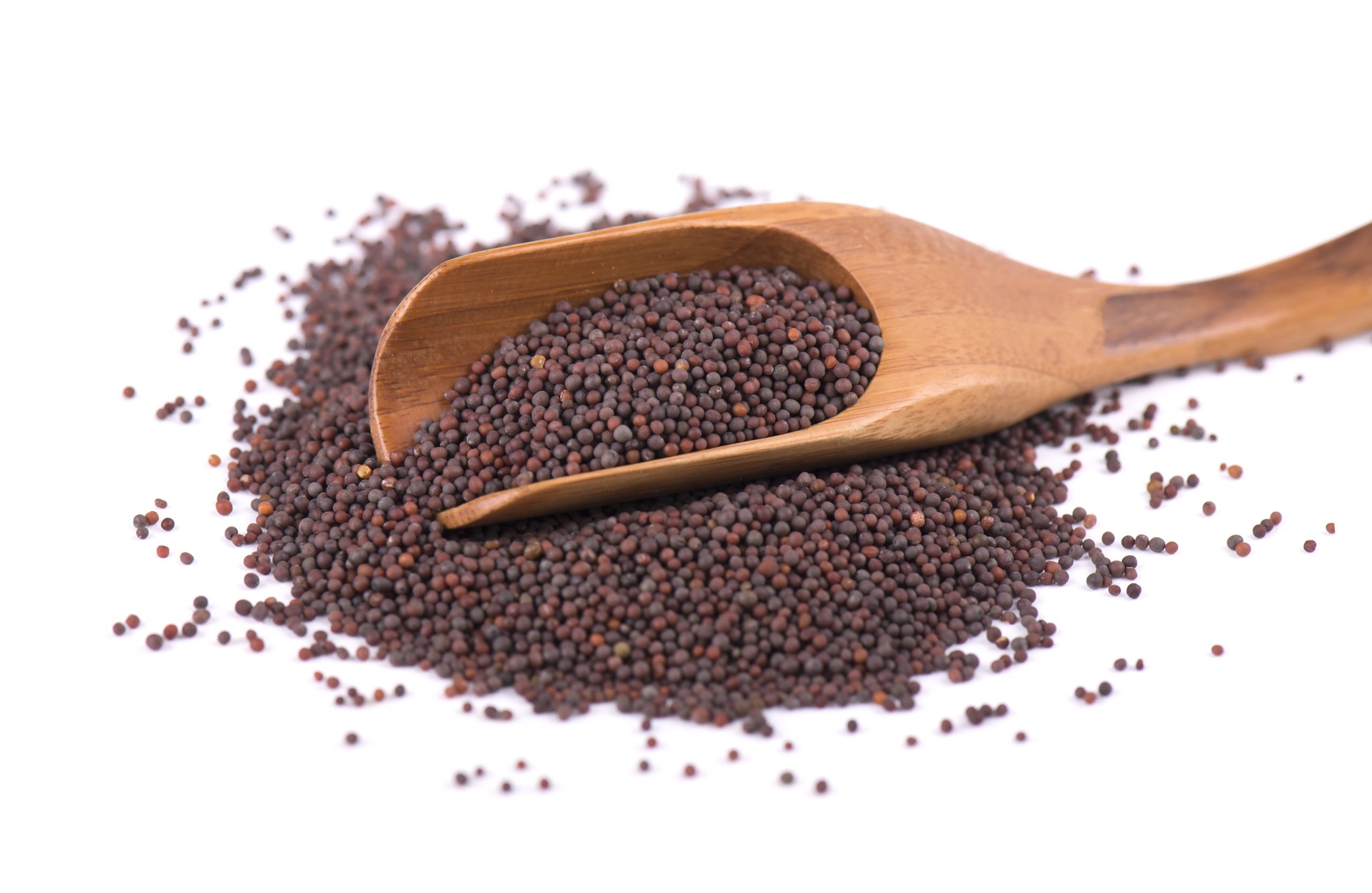 substitute-for-black-mustard-seeds