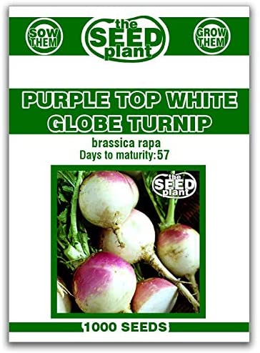 White Turnips