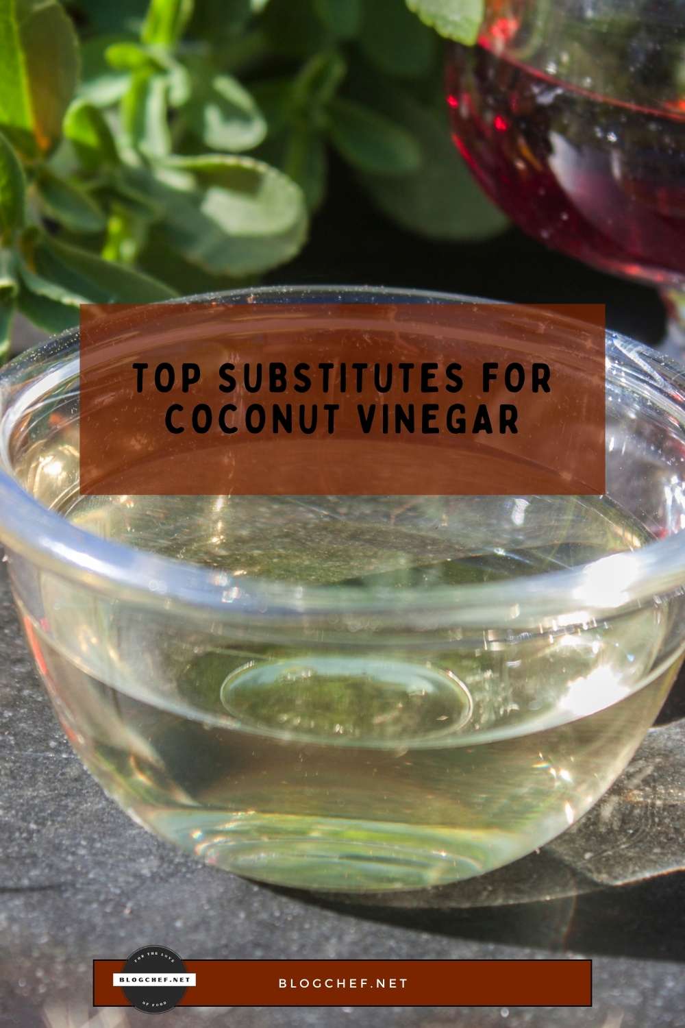 Coconut vinegar substitutes