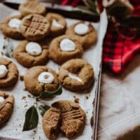 Cream of Tartar Substitutes for Cookies