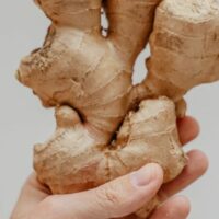 Hand holds up piece of fresh ginger.