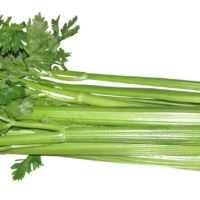 What Does Celery Taste Like