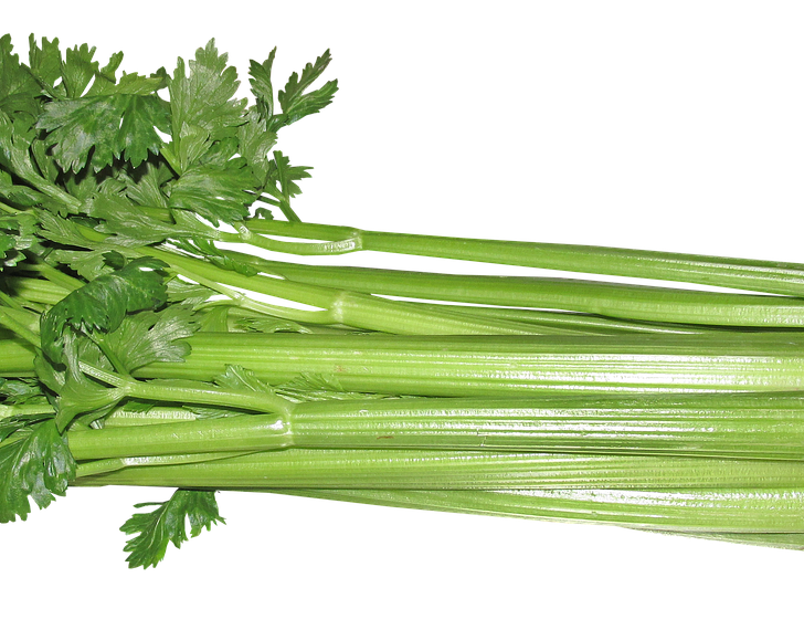 What Does Celery Taste Like