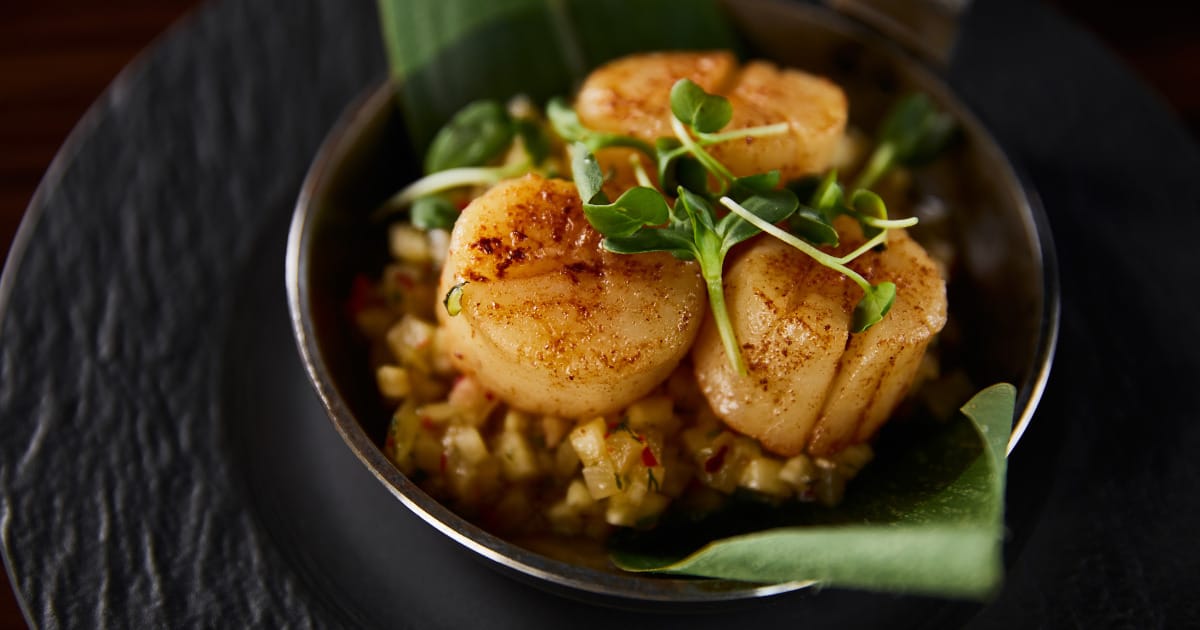 Grilled and prepared scallops on plate.