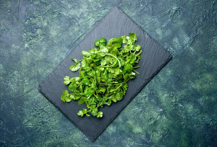 Coriander