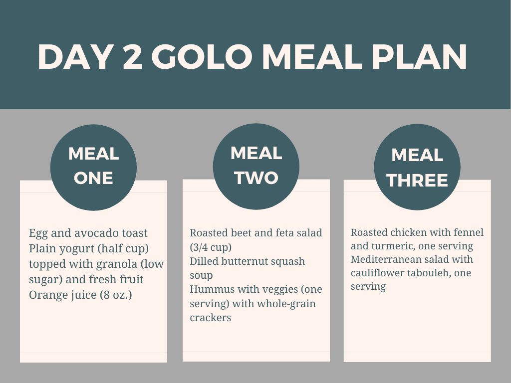 Golo Meal Plan (1)