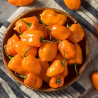 Habanero Pepper Substitute