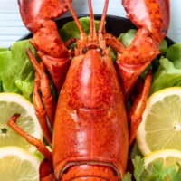 Prepared lobster on a plate.