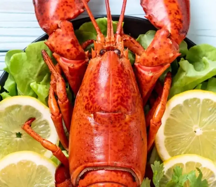 Prepared lobster on a plate.