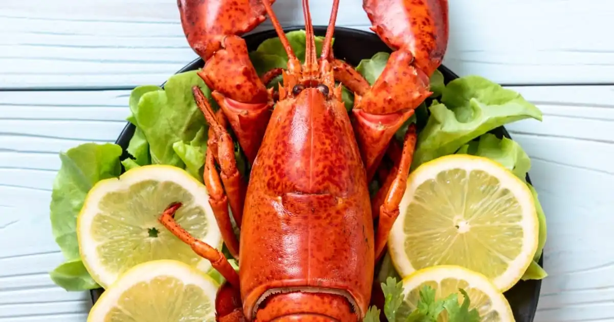 Prepared lobster on a plate.