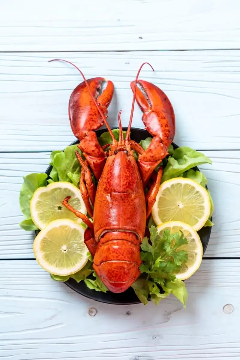 Prepared lobster on a plate.