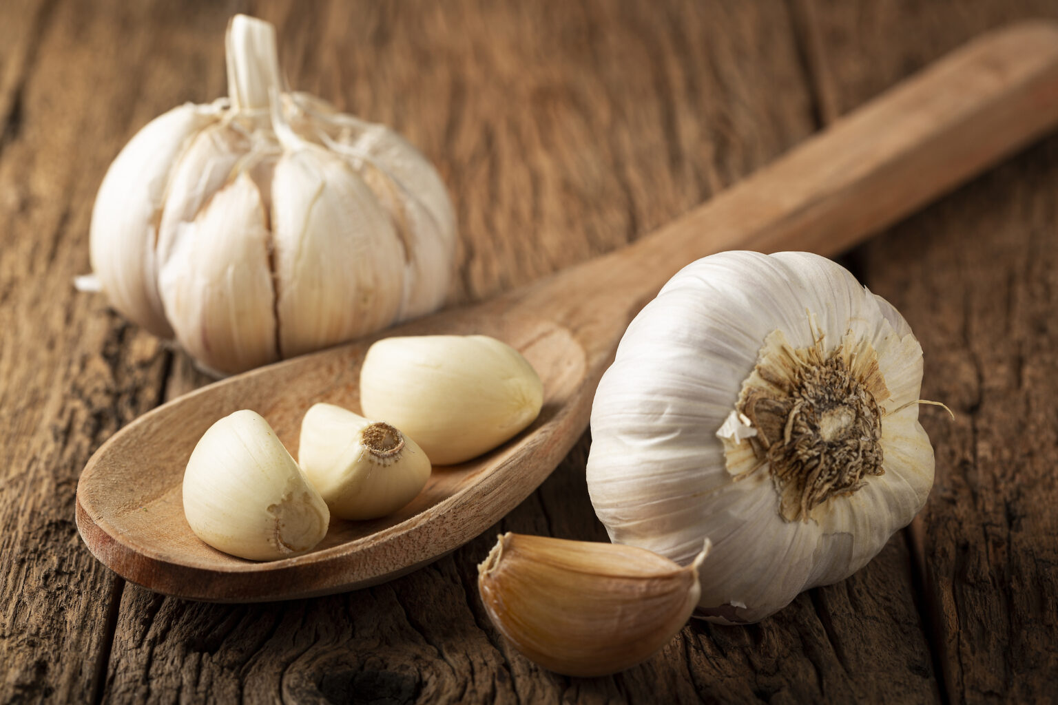 Garlic Bulbs and Capsules Oil Stock Photo - Image of table, herb: 272242366