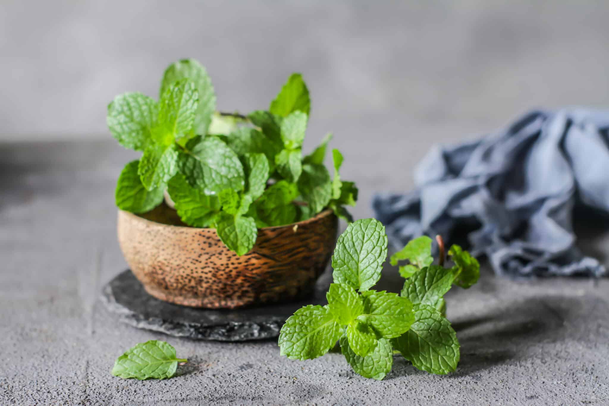 Substitutes for Mint Leaves