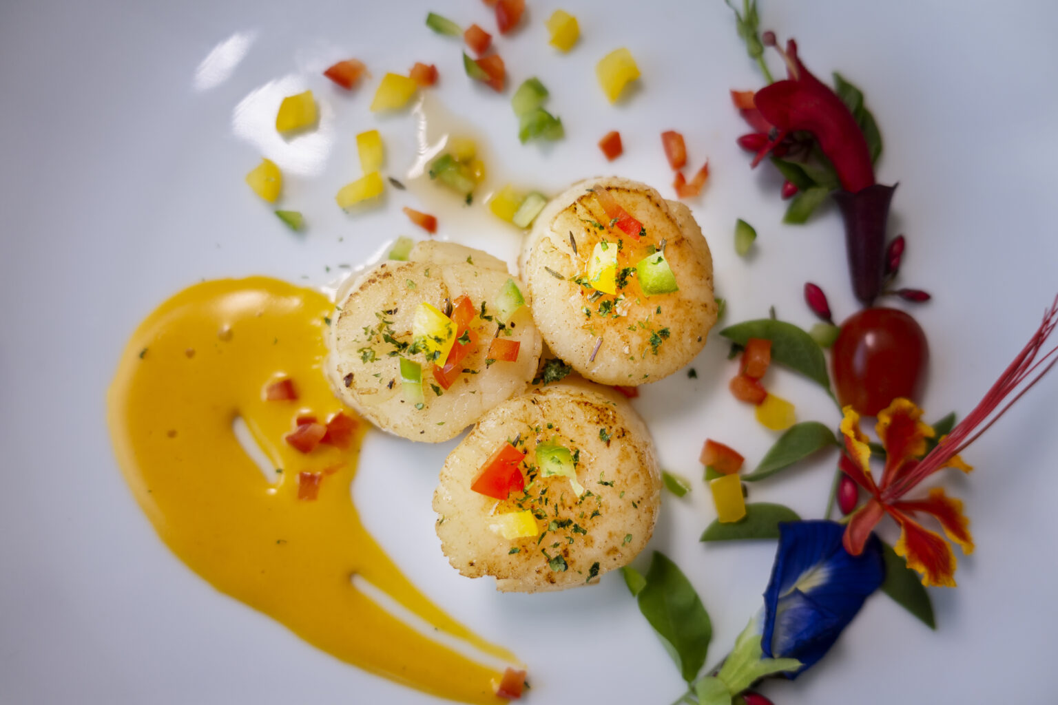 How To Cook Scallops Gordon Ramsay