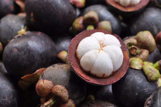 What Does A Mangosteen Taste Like What Does Mangosteen Taste Like? - BlogChef