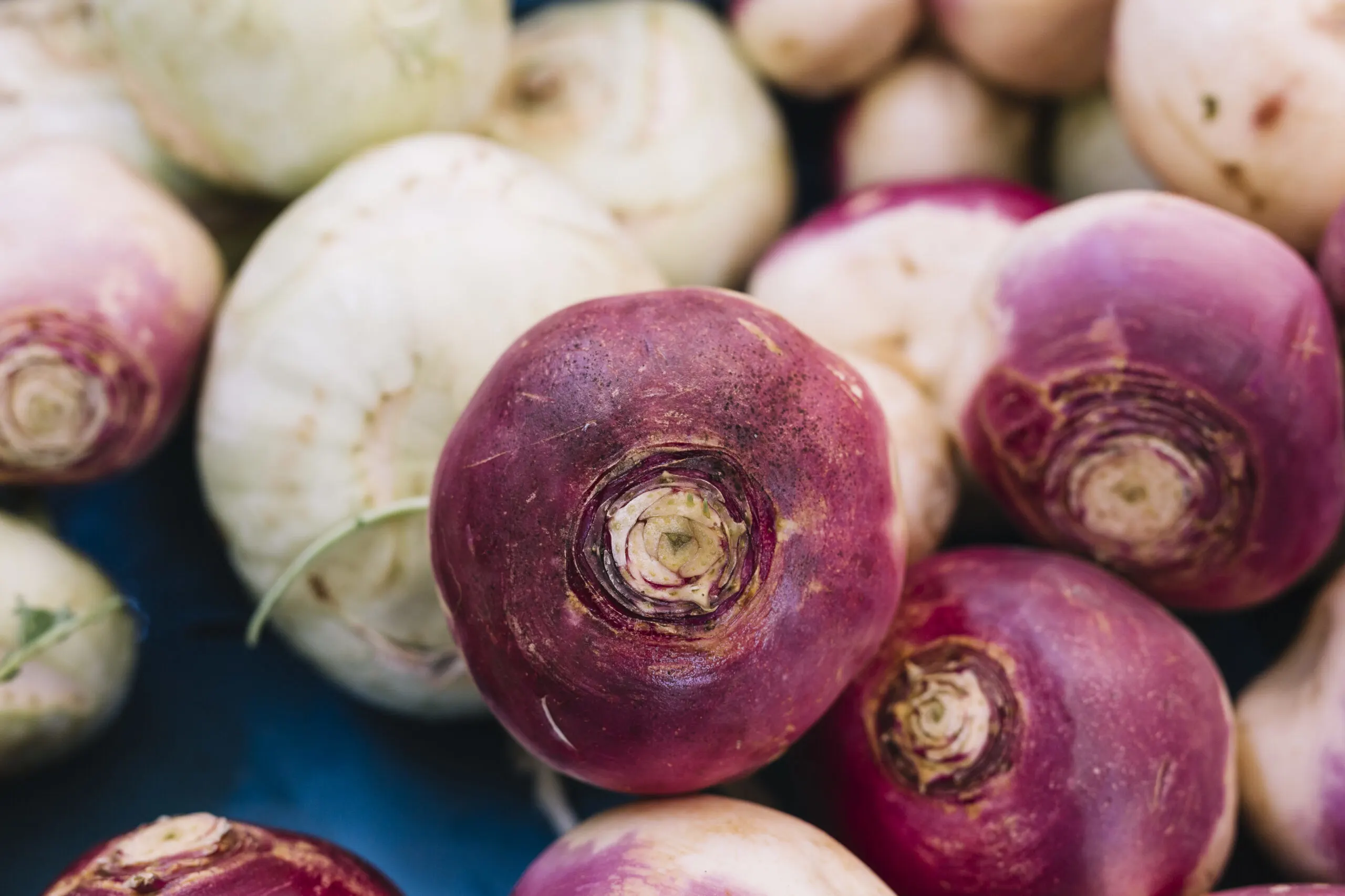 What Does Turnip Taste Like? BlogChef