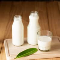 Healthiest Milk Substitute